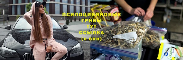 трава Балахна