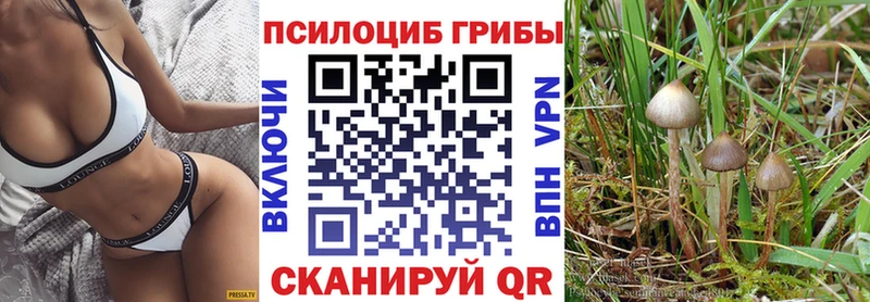 Галлюциногенные грибы MAGIC MUSHROOMS Высоковск